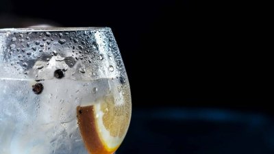 Gin pairing: what to accompany your perfect glass with