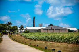 Foursquare Distillery