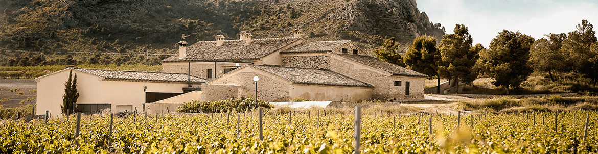 Finca Collado
